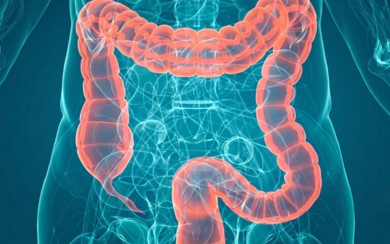 Colonoscopia Virtual